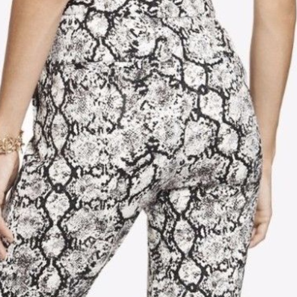 Express Snake Printed Double Knit Ankle Pants - Picture 7 of 8